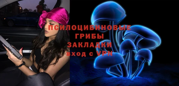 тгк Аркадак