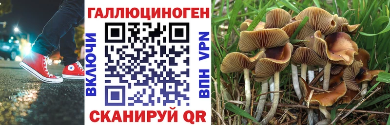 хочу наркоту  Каменск-Шахтинский  Галлюциногенные грибы мухоморы 